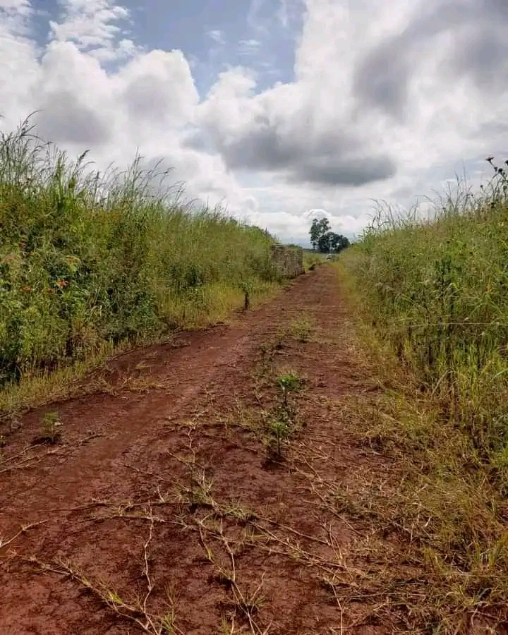 Crowhill Borrowdale Stands Zimbabwe Property Seller