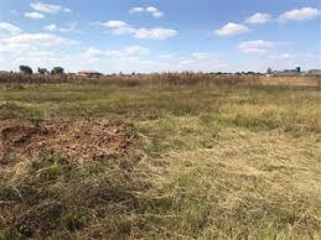 RUWA INDUSTRIAL (New CBD area) Zimbabwe Property Seller