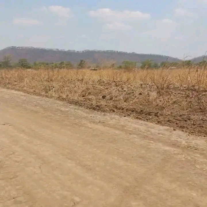 Norton Mwashuma Stands Zimbabwe Property Seller