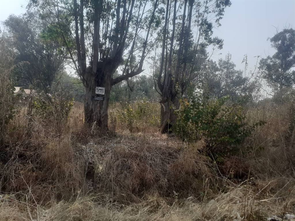 Avondale Stand Commercial Zimbabwe Property Seller