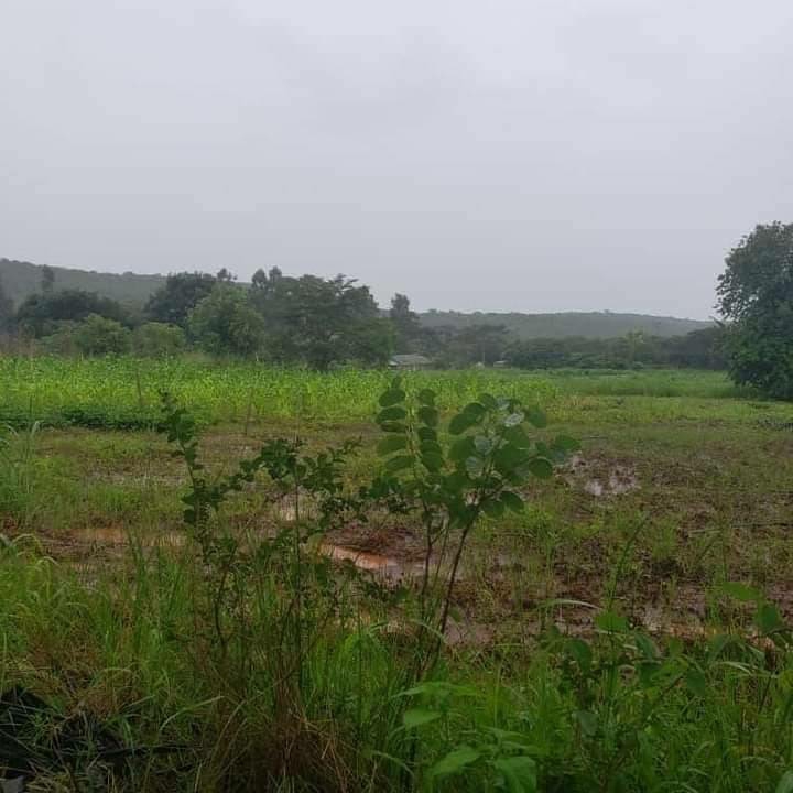 Glenlorne Umwinsidale Stand For Sale Zimbabwe Property Seller