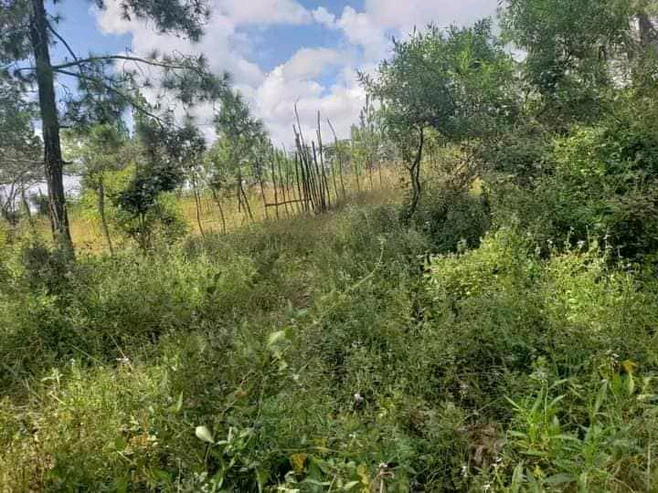 Ruwa Gardiner Plot Zimbabwe Property Seller